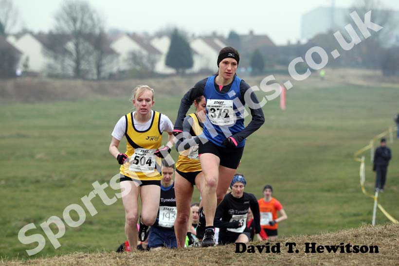 No 372, Senior Womens, North East Harrier League, Wrekerton, Gateshead.No 372, Senior Womens, North East Harrier League, Wrekerton, Gateshead.